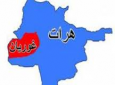 نزاع قومی در هرات پنج کشته و زخمی برجا گذاشت