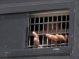 زندانیان فلسطینی در زندان رامون دست به اعتصاب غذا زدند