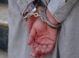 بازداشت دو نفر به اتهام انتقال مواد مخدر به زندان هرات