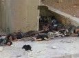 هلاکت دهها تروریست در مناطق مختلف سوریه