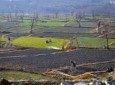 بیش از ۵۶ هزار جریب زمین دولتی در بغلان غصب شده است