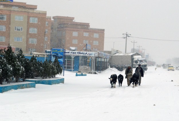 Brutal winter claims more lives in Afghanistan