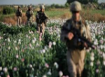 شکست راهبرد ظاهری امریکا در مبارزه با مواد مخدر در افغانستان