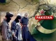 حملات طالبان در دره سوات پاکستان افزايش يافته است