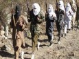 طالبان پاکستان آتش‌بس یک ماهه اعلام کرد