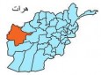 شش عضو خانواده یک نامزد شورای ولایتی هرات زخمی شدند