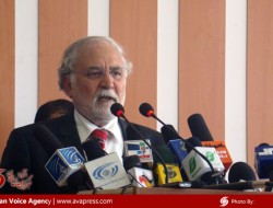 هفته جاری در هرات به عنوان " هفته انتخابات" نامگذاری گردید