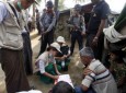 سازمان ملل محرومیت روهینگیاها از سرشماری را محکوم کرد