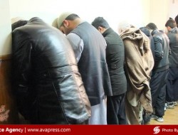 بازداشت ۳۱۱ نفر به اتهام جرایم مختلف هرات