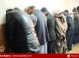بازداشت ۳۱۱ نفر به اتهام جرایم مختلف هرات