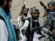 ۱۳عضو  طالبان پاکستانی در جنگ درون گروهی کشته شدند