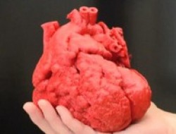 دستاورد جدید برای تولید قلب چاپ سه‌بعدی قابل پیوند انسان