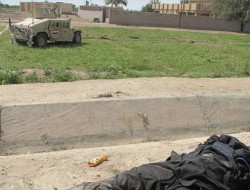 هلاکت دوازده عضو داعش در جنوب الرمادی