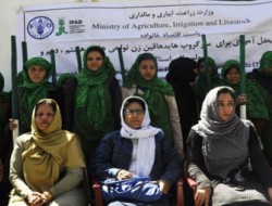برگزاری کارگاه آموزشی نهال‌شانی برای دهاقین زن در کابل