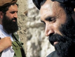 ملا عمر له قبایلو وغوښتل چې د طالبانو خپل منځي اختلاف ختم کړي