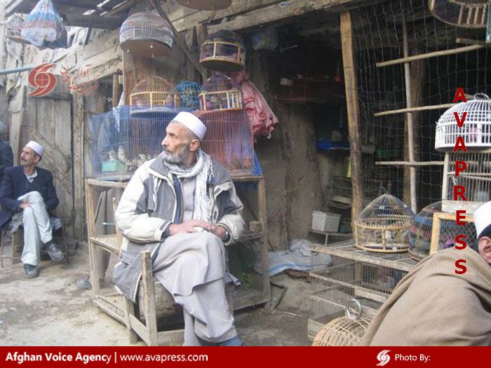 کوچه کاه‌فروشی کابل؛ بازارِ زندانیان خوش‌آواز و جنگی