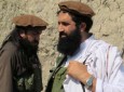 طالبان پاکستان: اسلام آباد در مذاکره های صلح جدی نیست