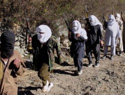 امریکا: پاکستان حملات تروریستی در افغانستان را طرح ریزی می کند