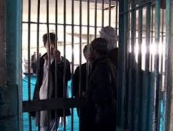 آزادی ۱۷۶ زندانی در هلمند