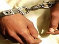 یک فرمانده مهم شورشیان طالب در لوگر بازداشت شد