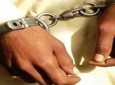 یک فرمانده مهم شورشیان طالب در لوگر بازداشت شد