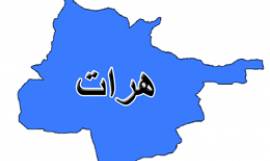 کشته شدن یک قوماندان همراه با 6 تن از افراد طالبان در هرات