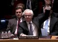 قطعنامه جدید علیه سوریه اوضاع این کشور را وخیم می کند