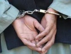 بازداشت یک تروریست در هرات