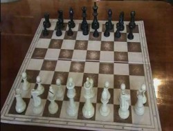 فدراسیون ملی شطرنج از ورزشکاران برتر تقدیر کرد