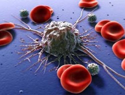 ارائه‌ی روش درمانی جدیدی برای توقف رشد سلول‌های سرطانی