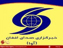 صدور ویزای کار برای ۱۱۰۰۰ تن از واجدین شرایط هراتی در ایران
