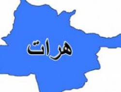 کشته شدن فرمانده پولیس ولسوالی فارسی هرات