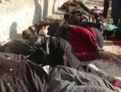تروریست های داعش ۳۰ عراقی را در ولایت دیالی اعدام کردند