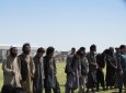 کشته، زخمی و بازداشت ۱۴ طالب در بلخ  