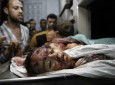 غزه در خون؛ شمار شهدا به ۳۱۰ تن رسید