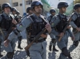کشته شدن ۱۴ شبه نظامی طالب در نقاط مختلف کشور