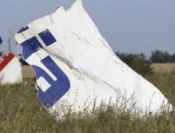 هالند اعزام نظامیان بین‌المللی به محل سقوط طیاره در اوکراین را رد کرد