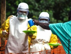 برنامه عاجل سازمان جهانی صحت در مبارزه با ایبولا