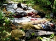 ۱۴ شورشی در شرق هند کشته شدند