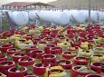 کاهش قیمت گاز مایع در هرات