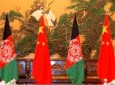 افغانستان و چین بر مبارزه مشترک منطقوی با تروریزم تاکید کردند