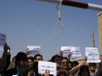 گردهمایی فعالان مدنی بلخ در محکومیت حادثه پغمان  