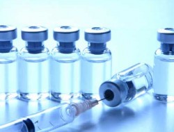 تطبیق واکسین برسلوز حیوانات در میدان وردک آغاز شد