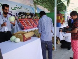 بزرگترین نمایشگاه محصولات زراعتی در کابل گشایش یافت