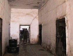 زندانیان غزنی به دستور طالبان دست به اعتصاب غذا زده اند