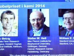 سه دانشمند امریکایی و آلمانی برنده جایزه نوبل کیمیا شدند