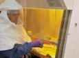 کشف روش تشخیص سریع بیماری ابولا/قرنطین کردن افراد مبتلا، بهترین راه جلوگیری از شیوع این بیماری