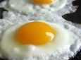 رابطه مصرف تخم مرغ با میزان چربی خون