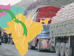 هند به دنبال صادرات یک میلیون تُن گندم به افغانستان
