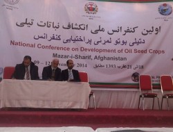 تدویر نخستین کنفرانس ملی انکشاف نباتات روغنی در مزار شریف